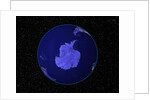 Dark View of Earth Centered on Antarctica by Anonymous