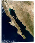 Baja California Peninsula in Mexico by Anonymous