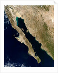 Baja California Peninsula in Mexico by Anonymous