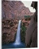 Mooney Falls by Anonymous