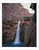 Mooney Falls by Anonymous