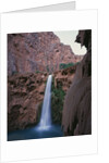 Mooney Falls by Anonymous