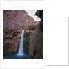 Mooney Falls by Anonymous