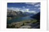 Waterton Park Village on Shore of Waterton Lakes by Anonymous