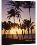 Sunset at Kihei Beach by Anonymous