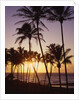Sunset at Kihei Beach by Anonymous