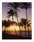 Sunset at Kihei Beach by Anonymous