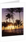 Sunset at Kihei Beach by Anonymous