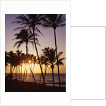 Sunset at Kihei Beach by Anonymous