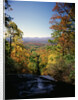 View into Valley from Amicalola Falls by Anonymous