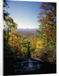 View into Valley from Amicalola Falls by Anonymous