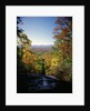 View into Valley from Amicalola Falls by Anonymous