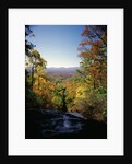 View into Valley from Amicalola Falls by Anonymous