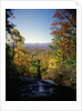 View into Valley from Amicalola Falls by Anonymous