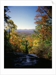 View into Valley from Amicalola Falls by Anonymous