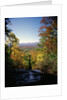 View into Valley from Amicalola Falls by Anonymous
