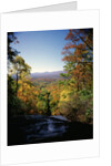 View into Valley from Amicalola Falls by Anonymous