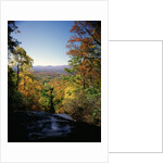 View into Valley from Amicalola Falls by Anonymous