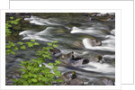 Sol Duc River Flowing over Rocks by Anonymous