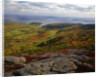 View from Top of Cadillac Mountain by Anonymous