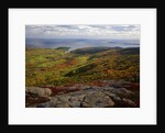 View from Top of Cadillac Mountain by Anonymous