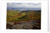 View from Top of Cadillac Mountain by Anonymous