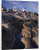 Pemaquid Lighthouse above Rocky Coastline by Anonymous