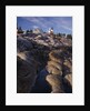 Pemaquid Lighthouse above Rocky Coastline by Anonymous