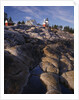 Pemaquid Lighthouse above Rocky Coastline by Anonymous