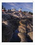 Pemaquid Lighthouse above Rocky Coastline by Anonymous