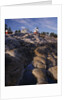 Pemaquid Lighthouse above Rocky Coastline by Anonymous