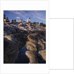 Pemaquid Lighthouse above Rocky Coastline by Anonymous