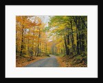 Country Road through Forest in Autumn by Anonymous