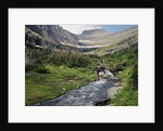 Lunch Creek Falls by Anonymous
