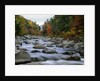Swift River Flowing through Forest in Autumn by Anonymous