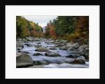 Swift River Flowing through Forest in Autumn by Anonymous