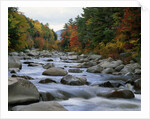 Swift River Flowing through Forest in Autumn by Anonymous