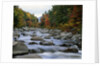 Swift River Flowing through Forest in Autumn by Anonymous