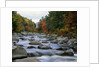 Swift River Flowing through Forest in Autumn by Anonymous