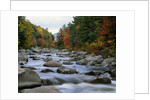 Swift River Flowing through Forest in Autumn by Anonymous