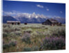 Pioneer Settlement at Jackson Hole by Anonymous