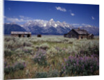 Pioneer Settlement at Jackson Hole by Anonymous