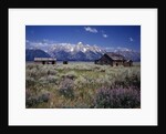Pioneer Settlement at Jackson Hole by Anonymous