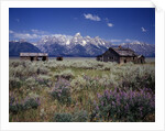 Pioneer Settlement at Jackson Hole by Anonymous