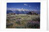 Pioneer Settlement at Jackson Hole by Anonymous