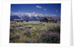 Pioneer Settlement at Jackson Hole by Anonymous