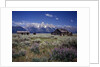 Pioneer Settlement at Jackson Hole by Anonymous