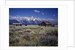 Pioneer Settlement at Jackson Hole by Anonymous