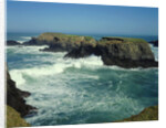 Mendocino Coast, CA by Anonymous