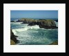 Mendocino Coast, CA by Anonymous
